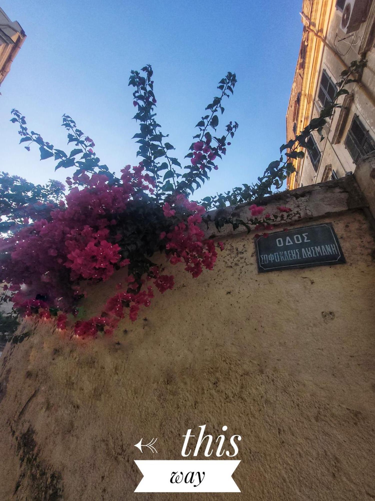 Nenas Volto Apartment Corfu  外观 照片